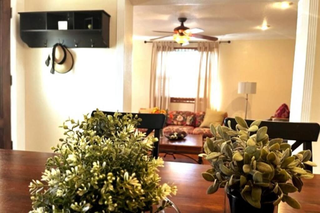House Close To Downtown, Airport, Raymond James Stadium, And Many More Places Tampa Kültér fotó