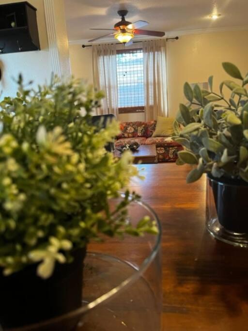 House Close To Downtown, Airport, Raymond James Stadium, And Many More Places Tampa Kültér fotó